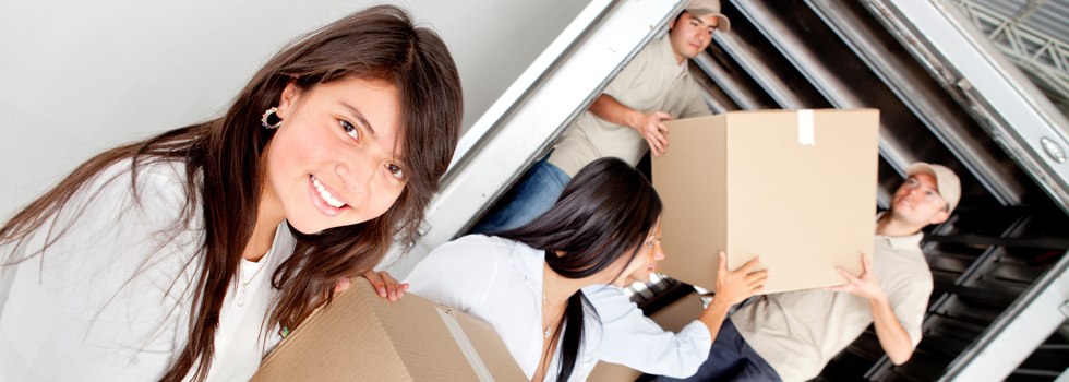 Professional Removalists Edwardstown